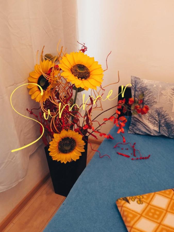 Studio Eva Sajmiste Luaran gambar